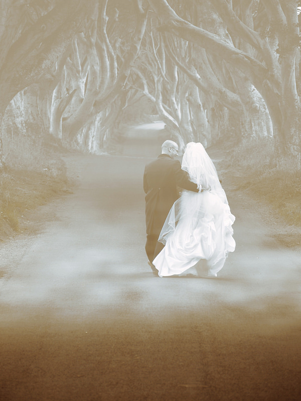 Footer image for Dark Hedges
